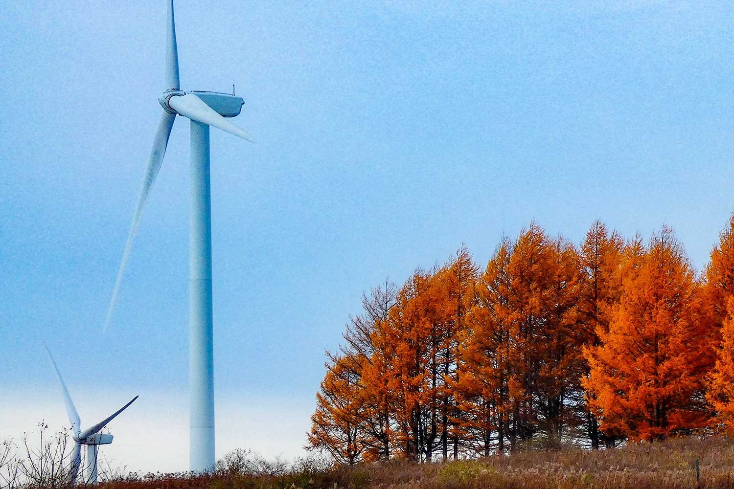 worker-cleaning-automobile-air-conditioner-vent-gr